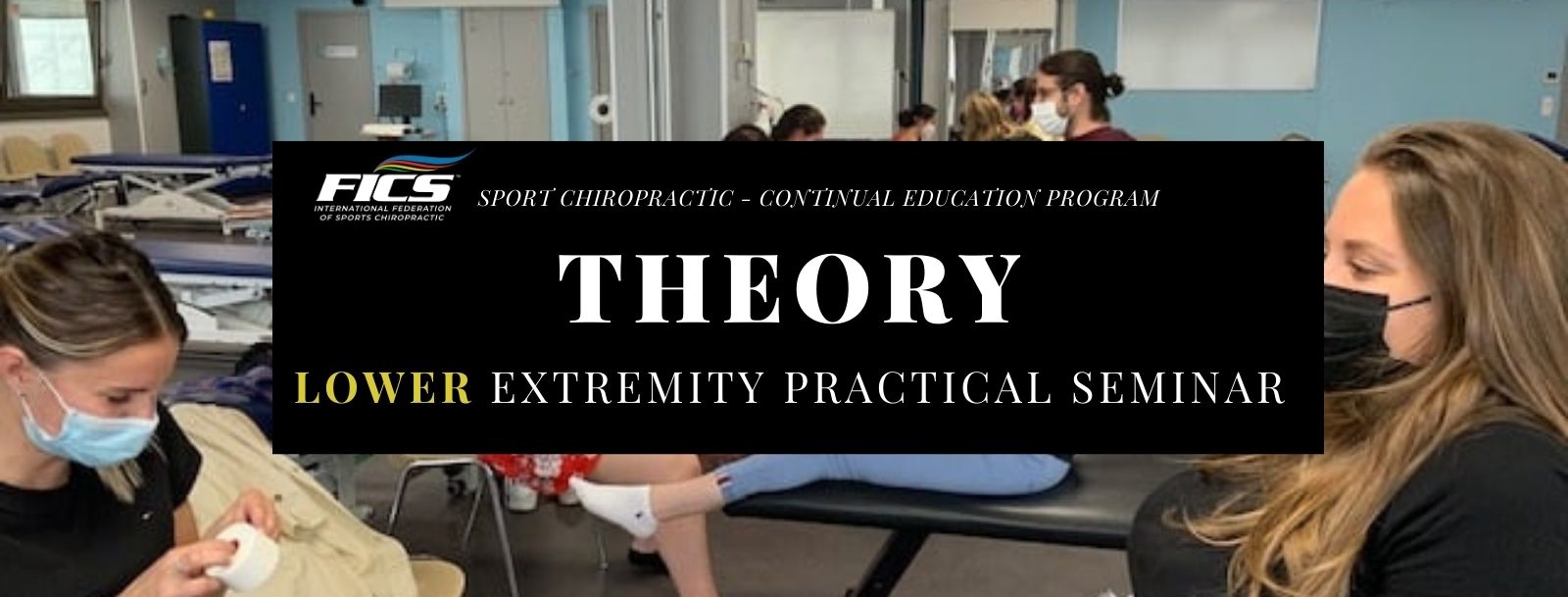 SEMINAR THEORY _ICSC Lower Extremity