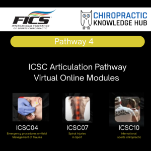 Pathway 4 Denmark Knowledge Hub – Bundle – #ICSC04, #07, #10